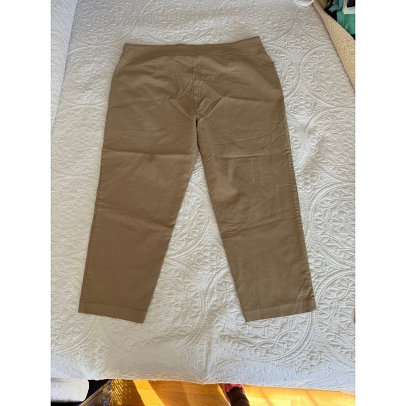 Terra & Sky Women 2X Petite Brownstone Pull On Capri Pants TS18833 Tan Crop - Picture 8 of 8